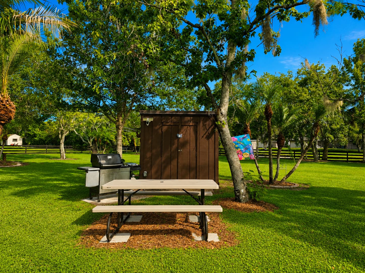 Outdoor grill, picnic table and storage shed on the lawn